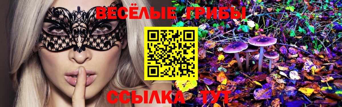 Галлюциногенные грибы ЛСД Владивосток