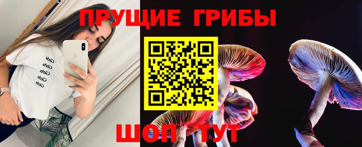 Галлюциногенные грибы мицелий  Галлюциногенные грибы Cubensis  Владивосток  Вход с VPN 